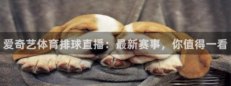 爱奇艺体育排球直播：最新赛事，你值得一看