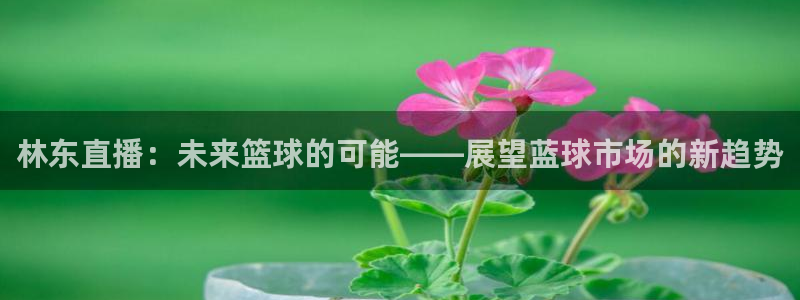 林东直播：未来篮球的可能——展望蓝球市场的新趋势