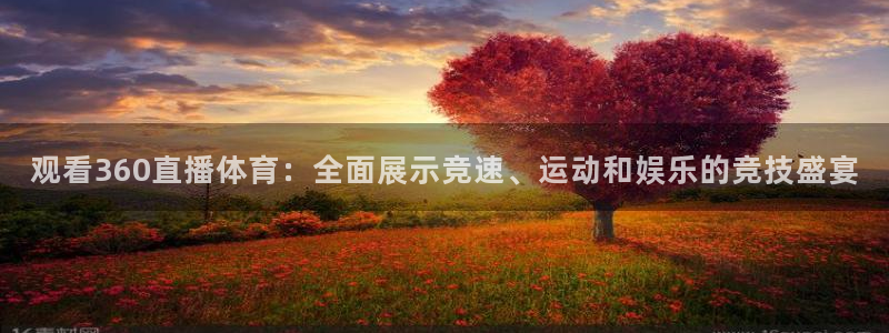 观看360直播体育：全面展示竞速、运动和娱乐的竞技盛宴