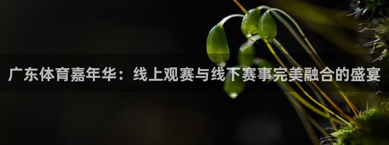 广东体育嘉年华：线上观赛与线下赛事完美融合的盛宴