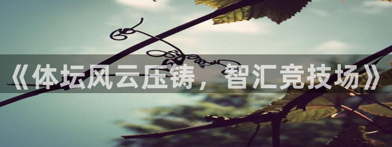 《体坛风云压铸，智汇竞技场》